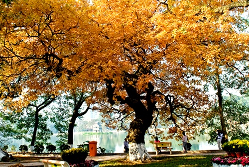 Melodías de despedida del otoño